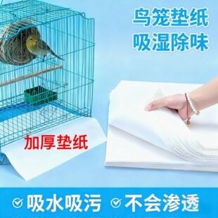 一次性鸟笼接粪垫纸鸟笼配件鹦鹉绣眼无纺布食垫宠物屎尿垫子吸水