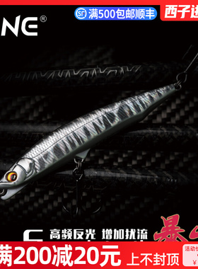 新款DNE去路亚暴牙沉水铅笔鱼饵远投硬饵翘嘴海鲈颤沉路亚假饵