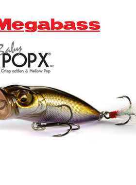 日本进口Megabass BABY POPX经典水面系 撞水波爬波趴路亚硬饵