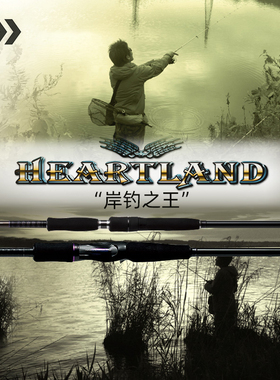 DAIWA达瓦HEARTLAND海岚德 旗舰鱼竿 高碳路亚竿海鲈岸钓远投虫竿