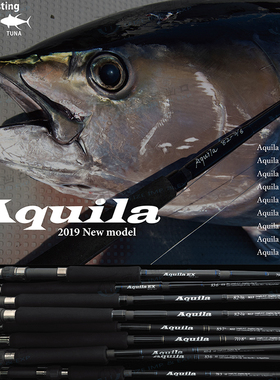 日本进口RIPPLE重型波扒竿Aquila海钓深海船钓大物GT金枪鱼竿