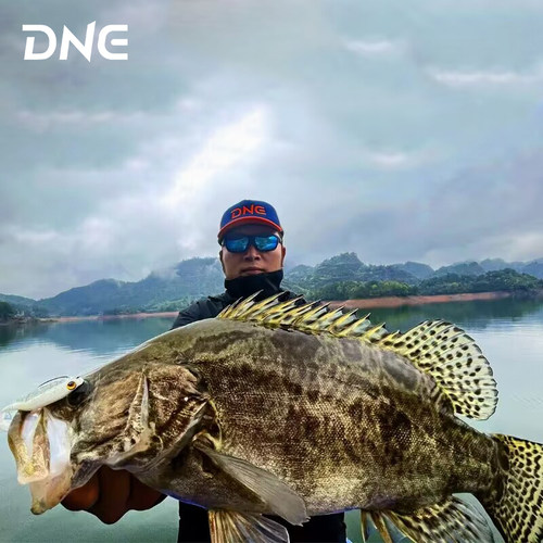 DNE七杀T尾仿真路亚软饵