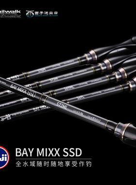 日本TAILWALK太沃克BAY MIXX岸钓SIC导环直柄泛用野钓路亚鱼竿