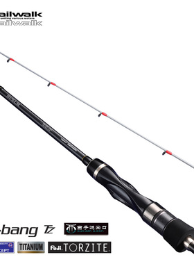 日本TAILWALK太沃克TIPBANG船钓竿TZ导环海钓慢摇竿路亚竿鱼竿