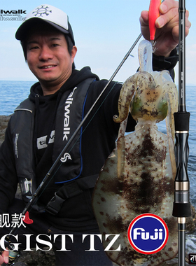 日本大尾鱿鱼竿TAILWALK太沃克EGIST TZ木虾墨鱼船海钓远投路亚竿