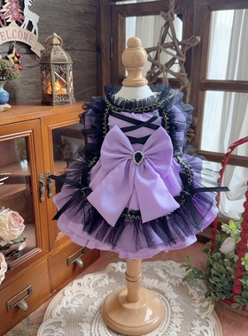 宠物衣服秋冬款猫咪狗狗衣服紫色小型犬约克夏西高地马尔济斯裙子