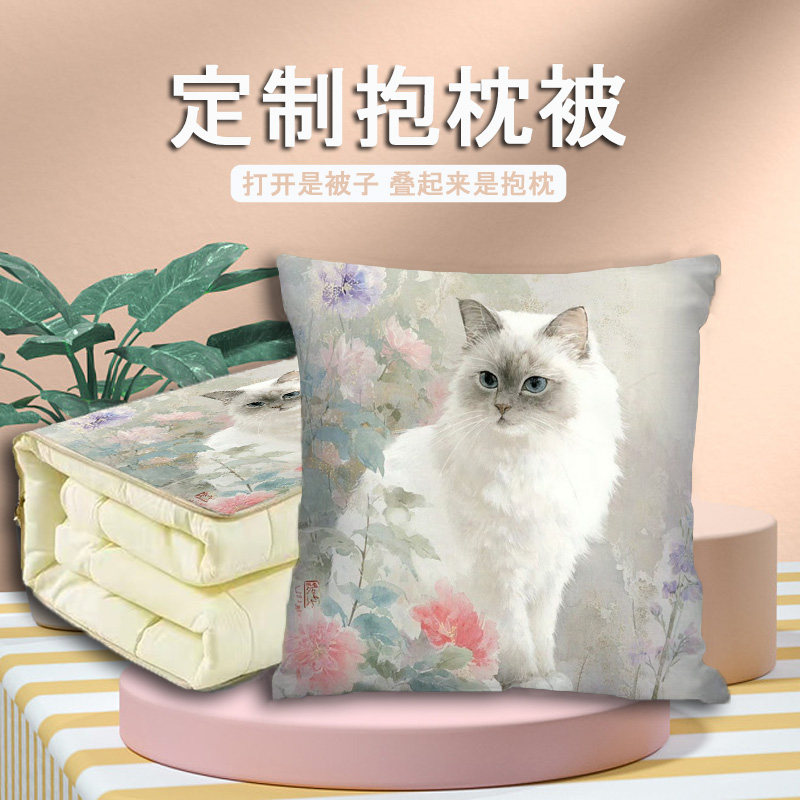 车载空调抱枕被多功能两用二合一