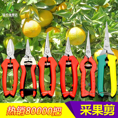 采果剪园林工具金农精钢果剪