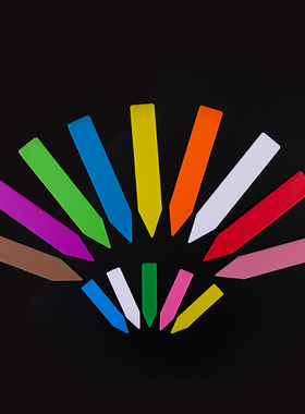 100只农业花卉园艺多肉植物塑料一字形多肉标签地插防水小号插牌