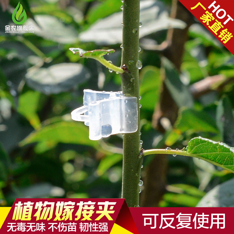 全新PE橡塑无毒无味不伤苗