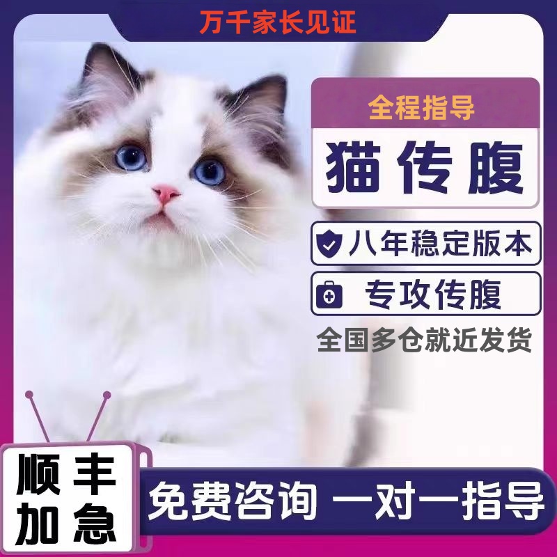 猫传腹专攻7年老店多仓同城