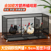 鸡笼子家用室外大号养鸡专用笼户外走地鸡鸭子养殖笼防黄鼠狼加厚