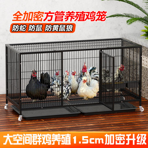 鸡笼子家用室外大号养鸡专用笼户外走地鸡鸭子养殖笼防黄鼠狼加厚
