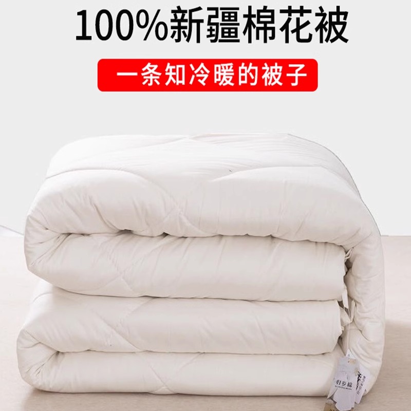 新疆棉被芯单人学生春秋加厚