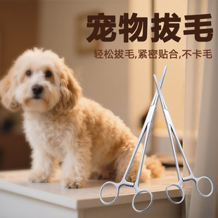 兽用不锈钢止血钳直头弯头拔毛钳持针钳宠物采耳器械刀片盒手术剪