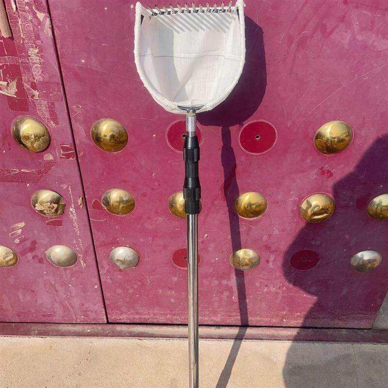 摘柏树籽神器摘酸枣摘山枣摘大枣摘花椒摘柏果工具省时省力