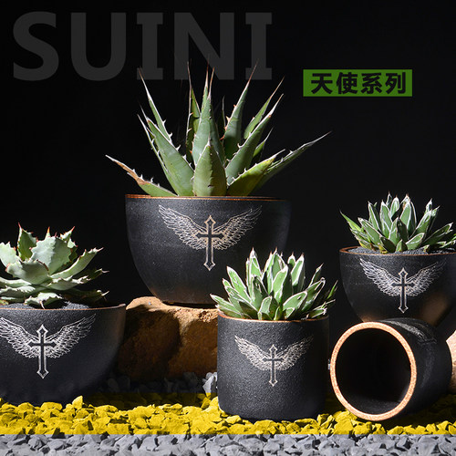 潮流块根多肉个性花盆