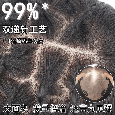 双递针假发片女真发辫子遮盖白发