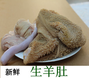 新鲜 生羊肚 新鲜羊肚 羊杂汤  羊头 羊心 羊肝羊肺 羊肚羊肠子