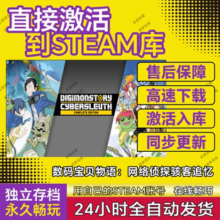 Steam正版 寶貝物語網路偵探駭客追憶國區激活入庫中文PC游戲 數碼