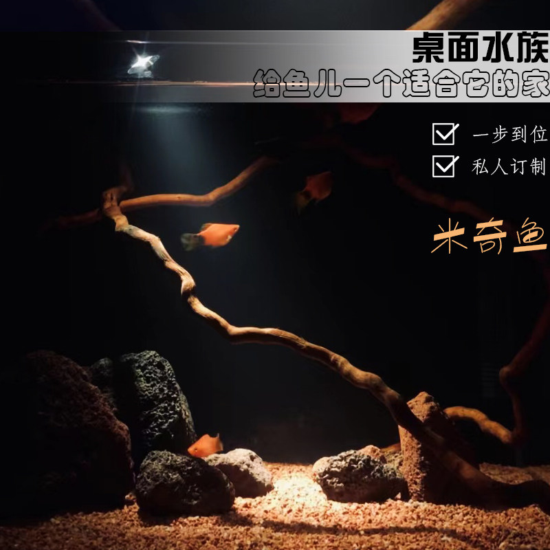全套桌面南美风造景免换水鱼缸