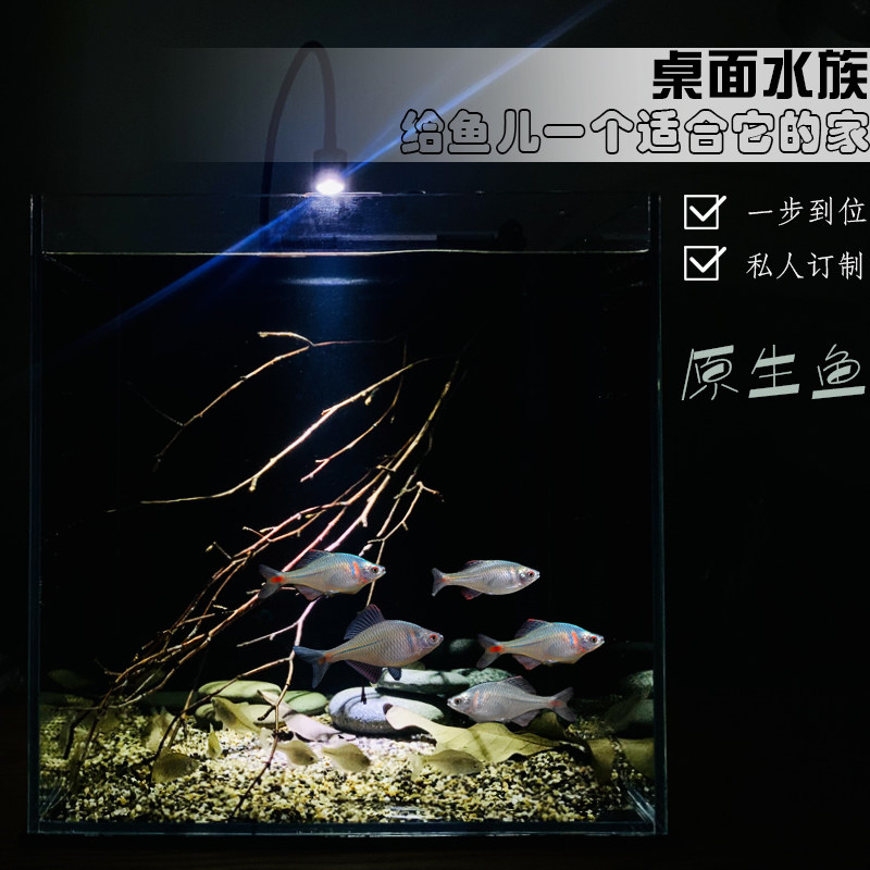 原生桌面超白玻璃定制造景鱼缸