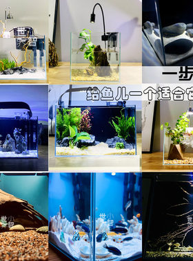 小型生态桌面超白全套鱼造景定制