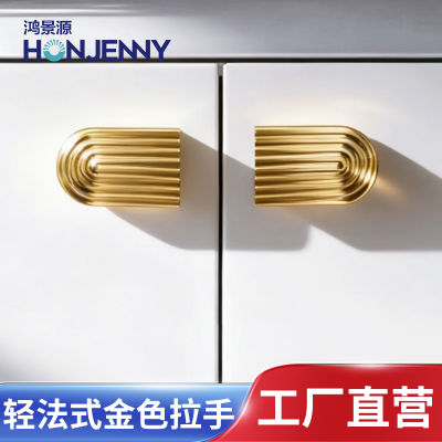 品牌同款柜门轻奢金色拉手