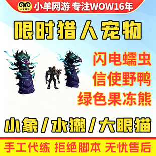 魔兽世界代练猎人宠物可达鸭小鸭子信使野鸭闪电马团本蠕虫宠物