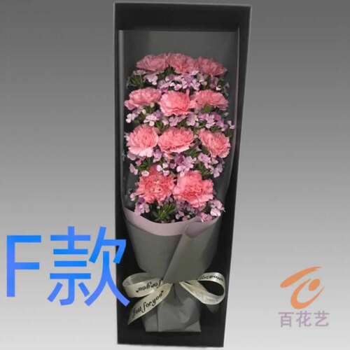 生日探望康乃馨浙江宁波花店送花慈溪市奉化市海曙区同城鲜花速递