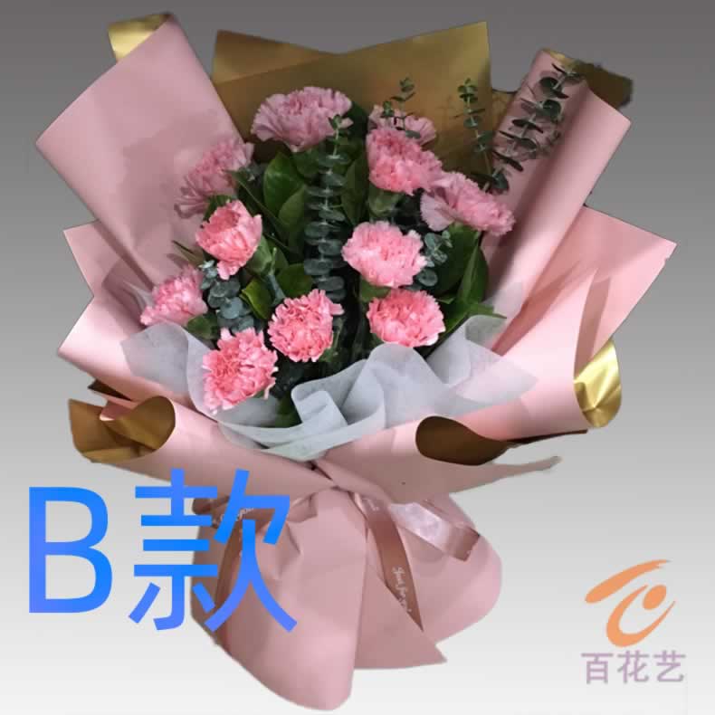 生日康乃馨河北秦皇岛花店送花海港区山海关区北戴河同城鲜花速递