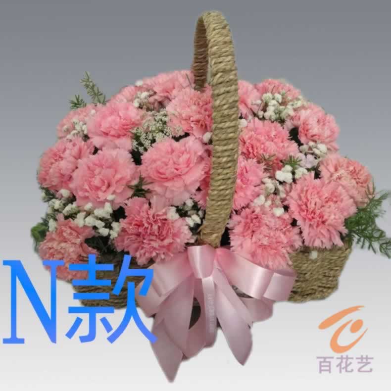 生日纪念康乃馨湖南邵阳花店送花隆回县洞口县绥宁县同城鲜花快递