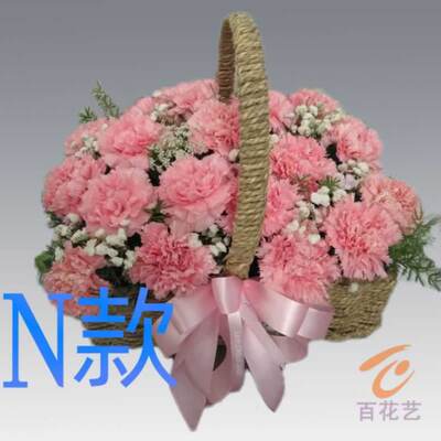 生日探望康乃馨山西晋中订花店送花寿阳县太谷县祁县同城鲜花速递