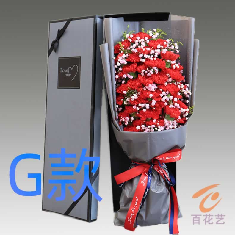 生日探望康乃馨四川南充花店送花仪陇县西充县阆中市同城鲜花速递