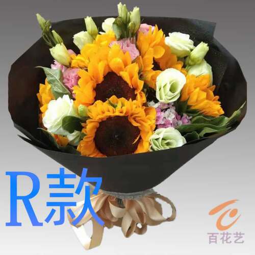 生日祝寿康乃馨陕西渭南花店送花富平县韩城市华阴市同城鲜花速递