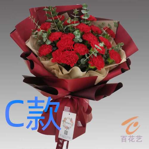 生日纪念康乃馨江西萍乡花店送花湘东区莲花县上栗县同城鲜花速递