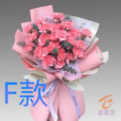 生日纪念康乃馨山西大同花店送花南郊区新荣区阳高县同城鲜花速递