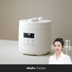 olayks欧莱克出口电压力锅家用2-3人自动2.5L小型迷你高压锅饭煲