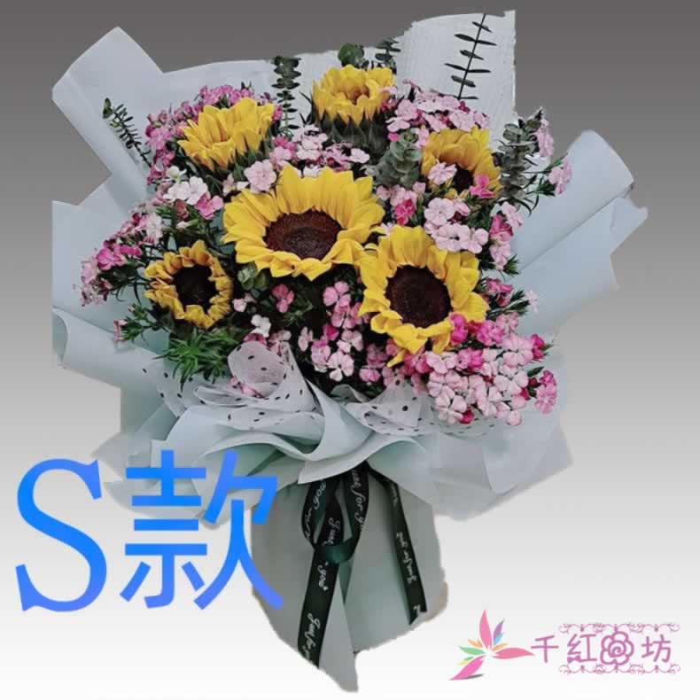 生日探望康乃馨黑龙江佳木斯花店送花桦南县桦川县汤原县鲜花速递