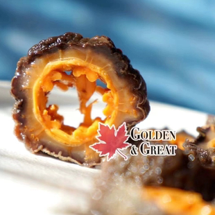 爆款银标加拿大野生北极淡干海参约30头1磅送礼盒孕妇安全银标