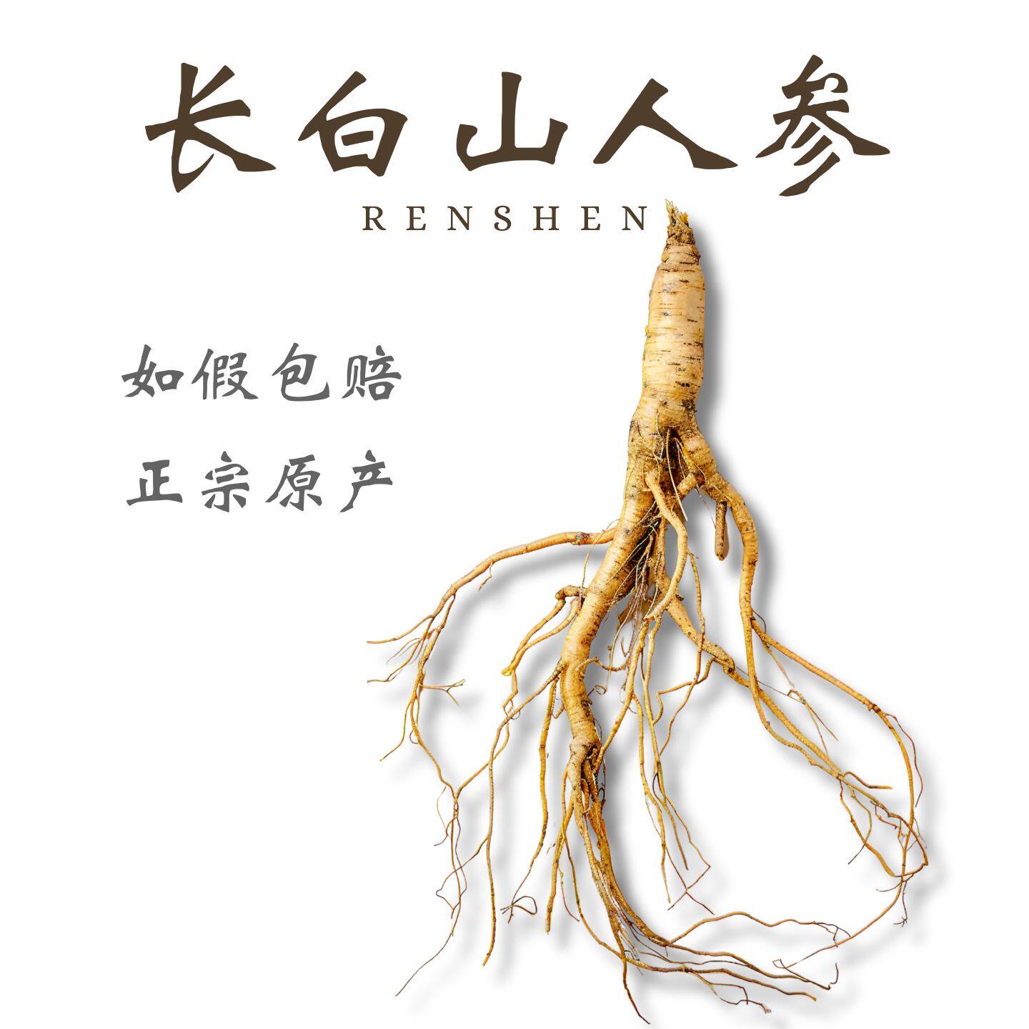 长白山人参中药材100g整根礼盒干货生晒山参新鲜非野生中药材泡酒