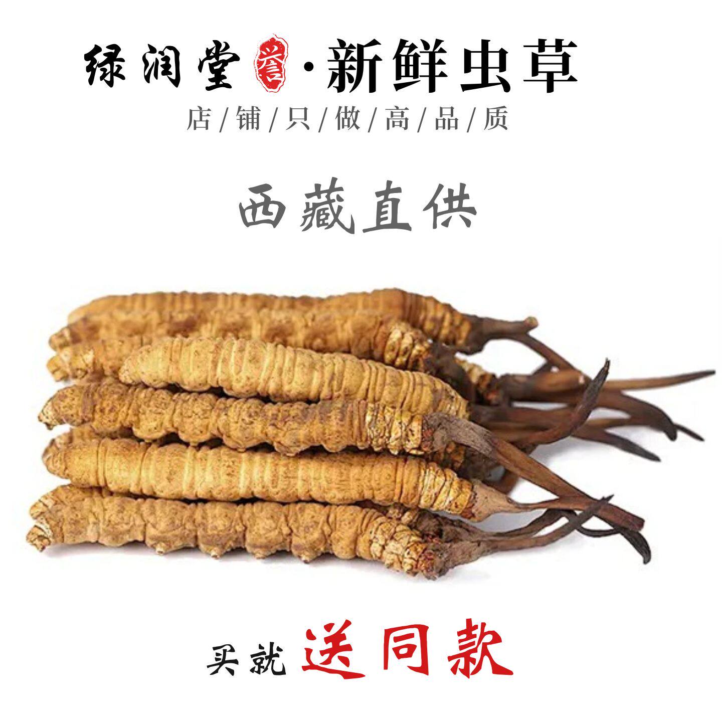 2026新鲜那曲冬虫夏草1根/1g 30根礼盒正品鲜草干货西藏那曲头期