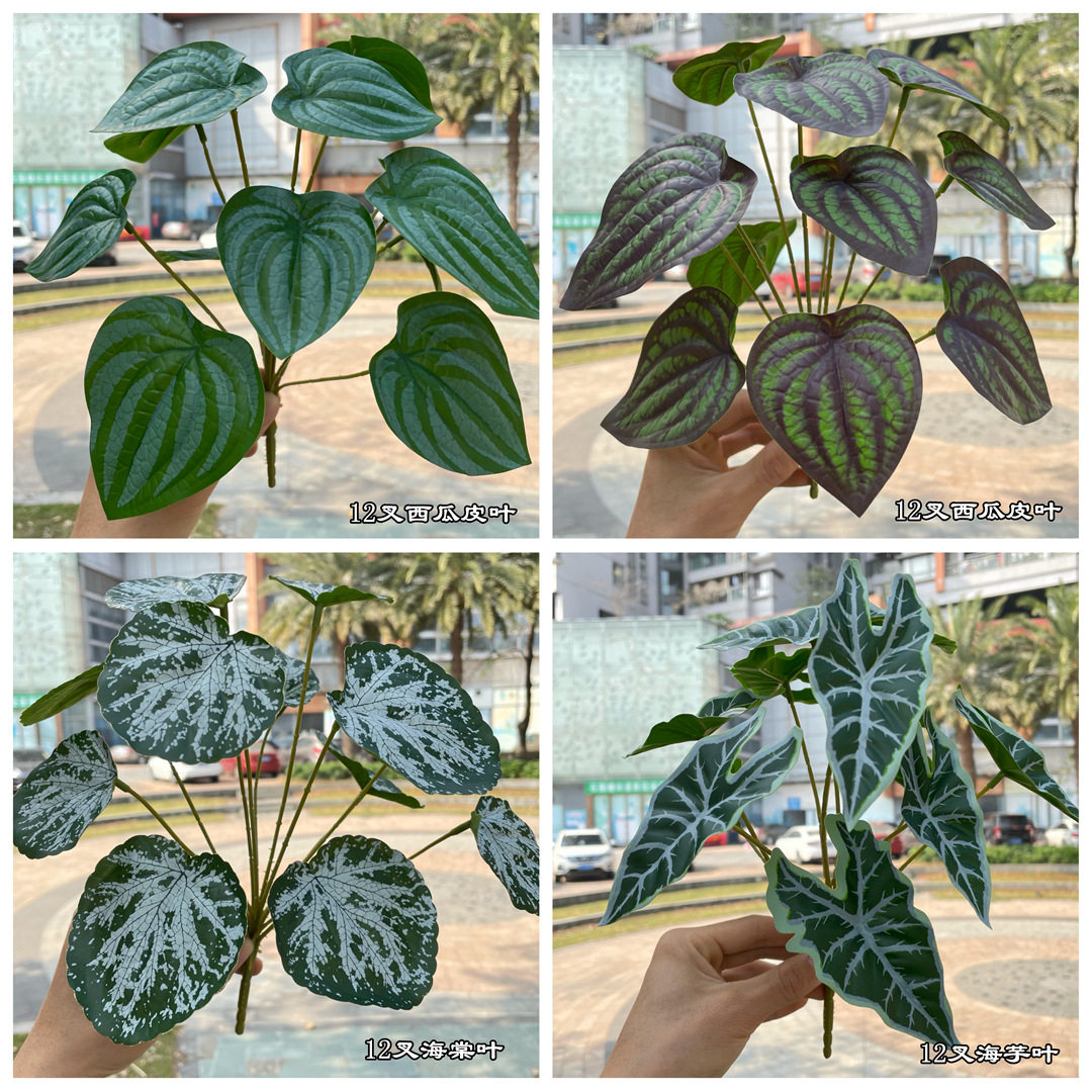 仿真植物墙绿植海棠叶西瓜皮叶海芋叶森系自然风花艺打底绿植绿叶
