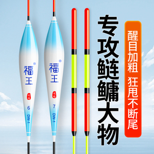 鲢鳙专用加粗醒目鱼漂纳米远投大物漂黑坑行程浮漂甩大鞭翘嘴鱼漂