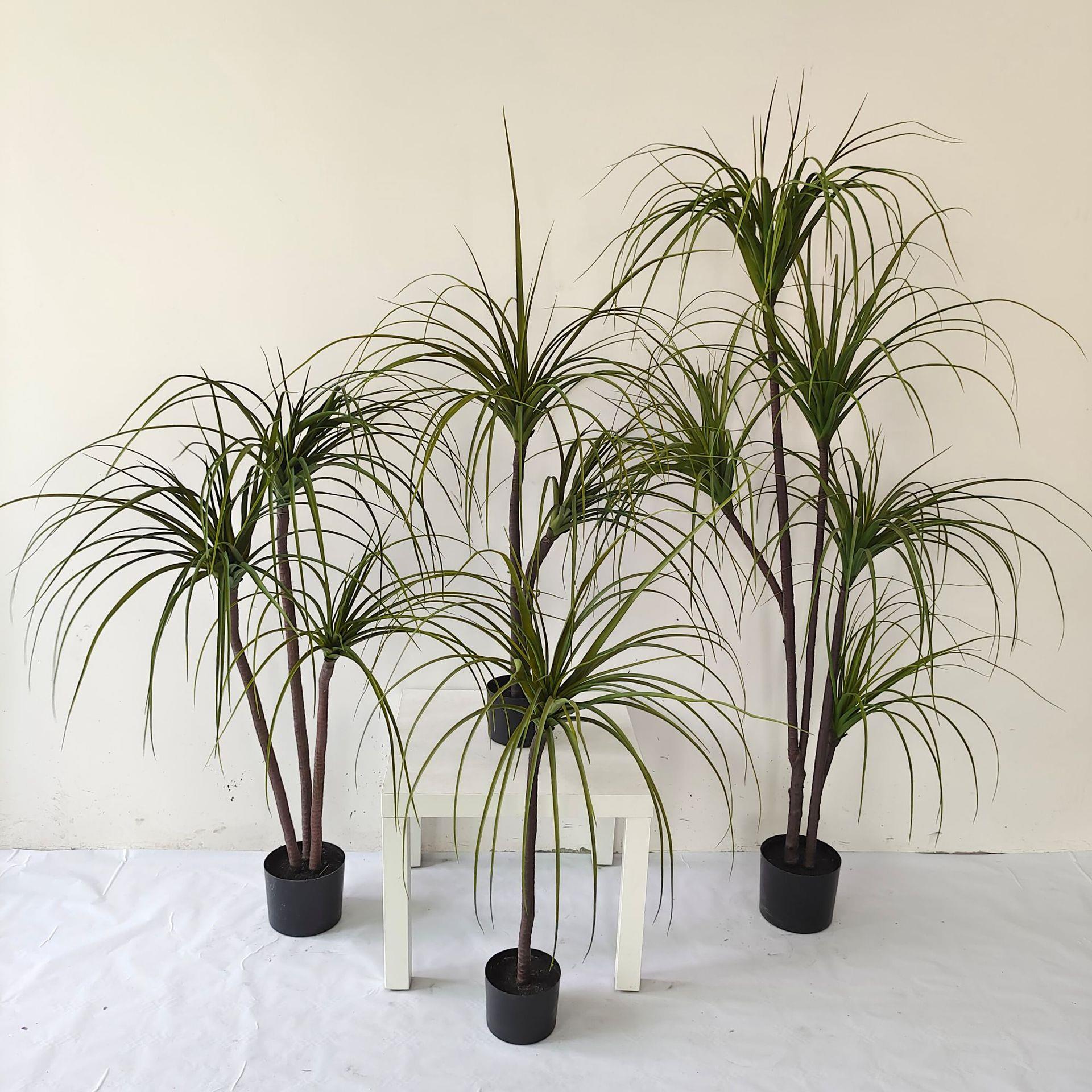 ins风格仿真绿植盆栽 商场家居酒吧装饰品 仿真巴西铁龙血铁树