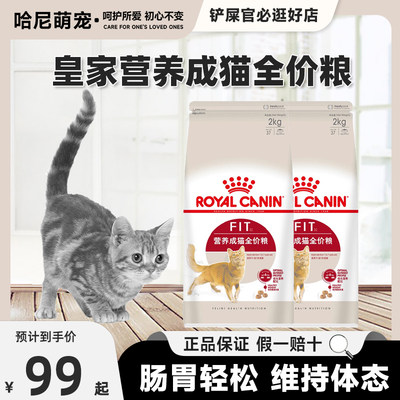 营养增肥发腮英短2kg蓝猫