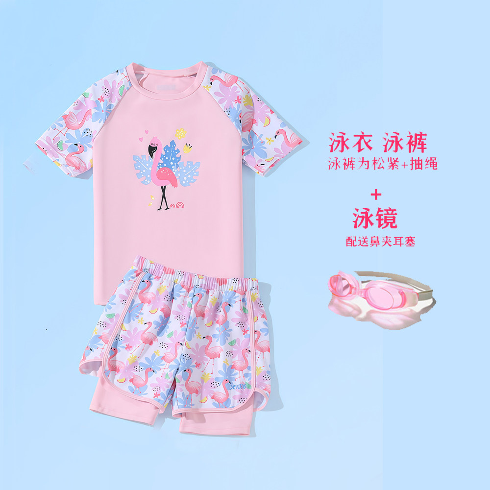 女童分体泳衣夏卡通短袖分体可爱印花中小童速干平角泳裤游泳装备
