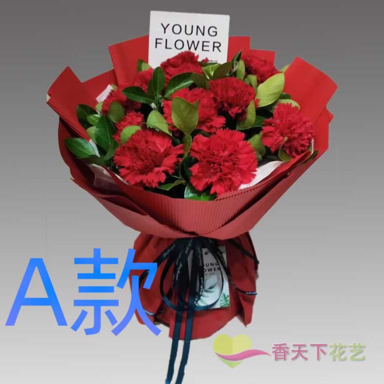 生日纪念康乃馨江苏南京订花店送花栖霞区雨花台区江宁区同城快递
