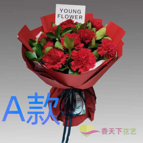 生日祝寿康乃馨山东青岛花店送花胶州市即墨市平度市同城鲜花快递