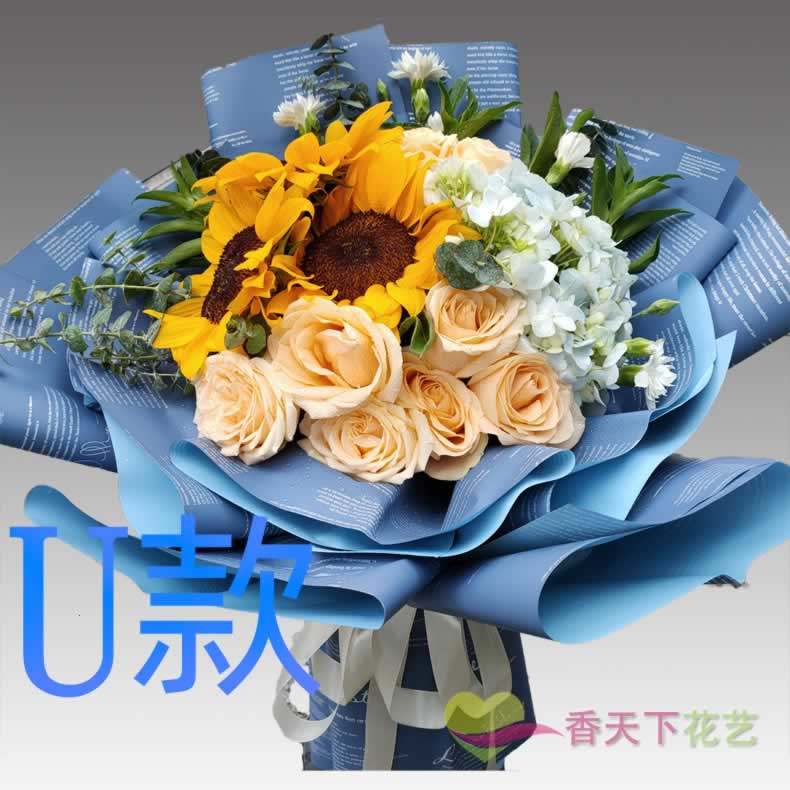 生日探望康乃馨广东中山花店送花沙溪镇横栏镇古镇镇同城鲜花速递